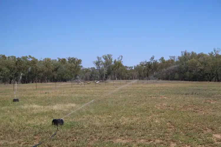 Third view of Homely rural property listing, 35797 Mitchell Highway, Charleville QLD 4470