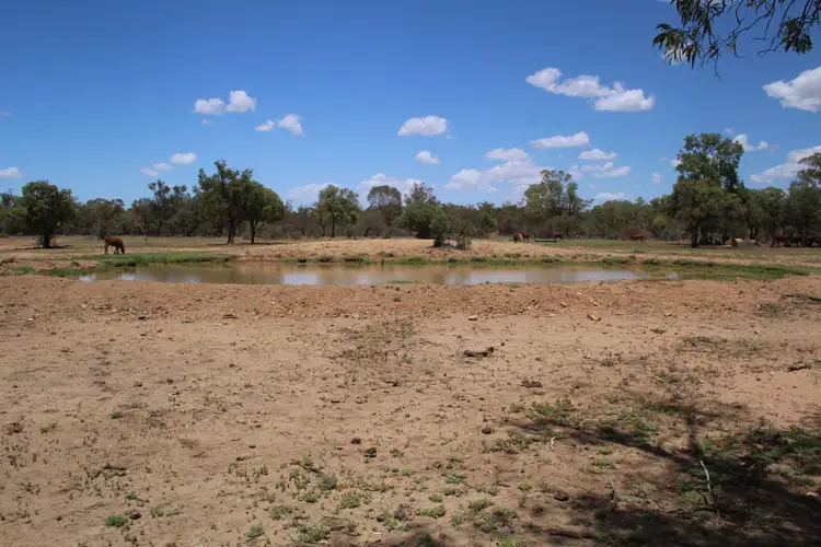 Fourth view of Homely rural property listing, 35797 Mitchell Highway, Charleville QLD 4470