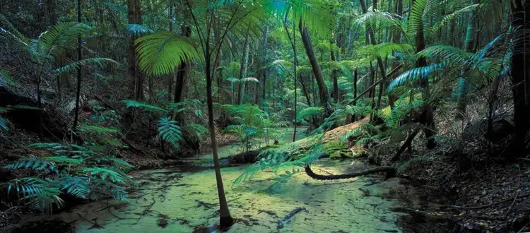 Seventh view of Homely land listing, Lot 14 Eastern Forest 3, Kingfisher Bay Village, Fraser Island QLD 4581