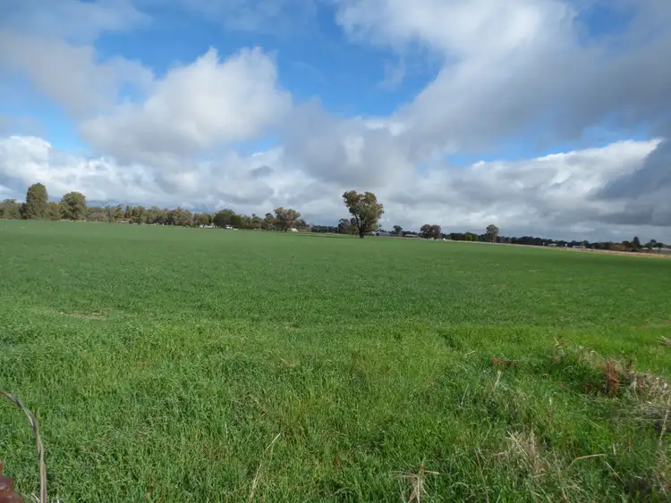 Sixth view of Homely land listing, Corner River Road and Wambat Street, Forbes NSW 2871