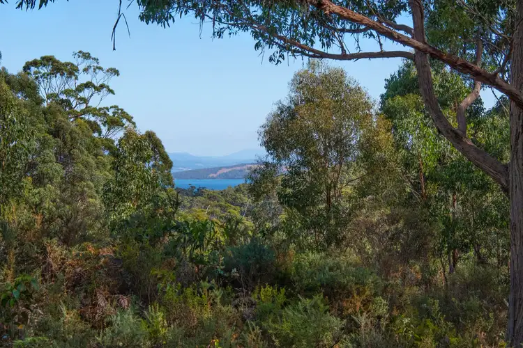 Third view of Homely land listing, Lot 1 Bruny Island Main Road, Alonnah TAS 7150