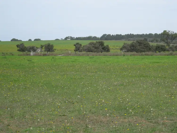 Main view of Homely rural property listing, Lot 1 Myrup Road, Myrup WA 6450