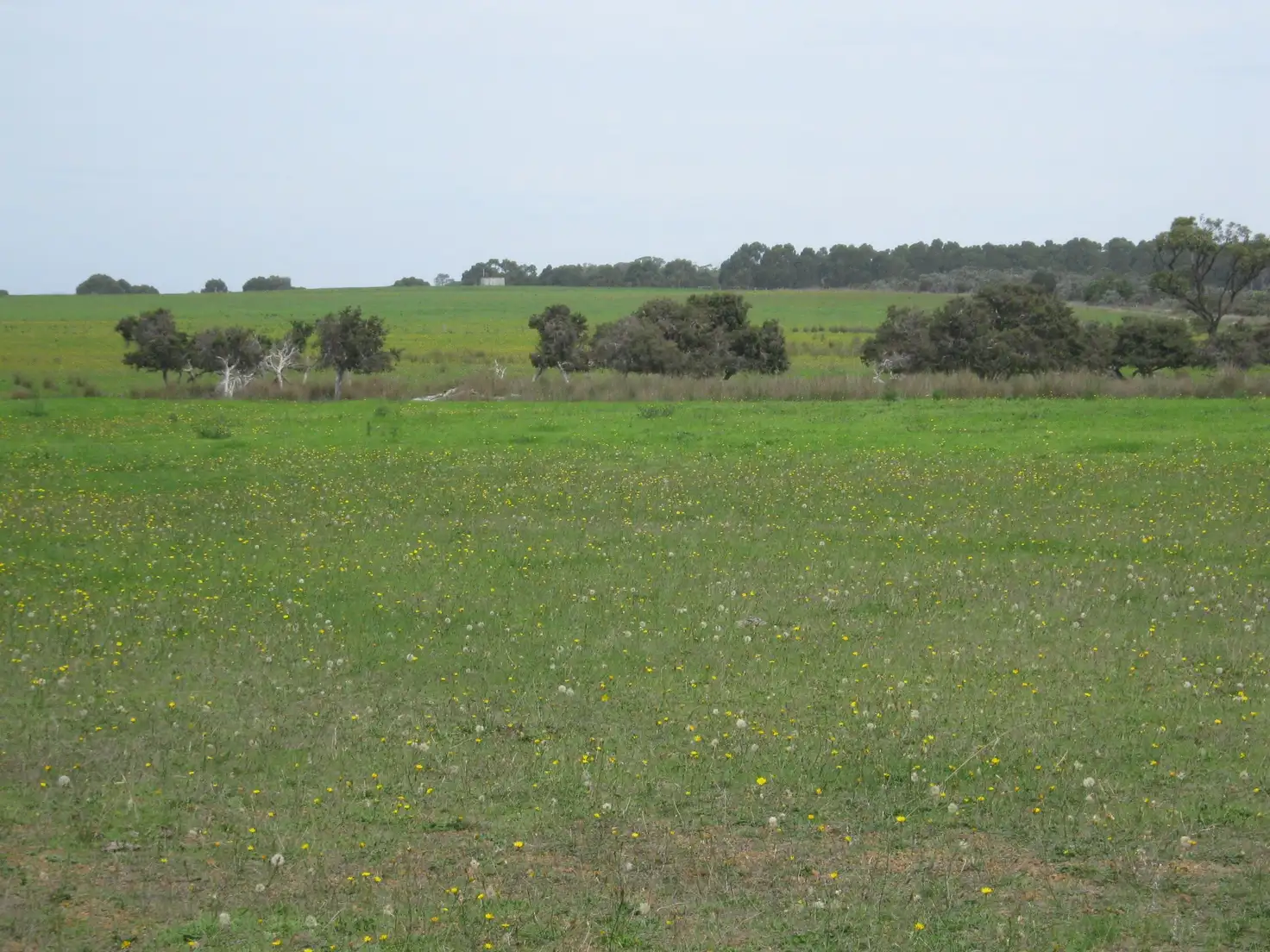 Main view of Homely rural property listing, Lot 1 Myrup Road, Myrup WA 6450