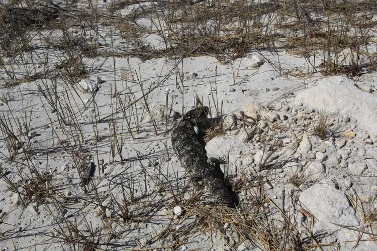 Fifth view of Homely land listing, Lot 107 Homestead Loop, Jurien Bay WA 6516