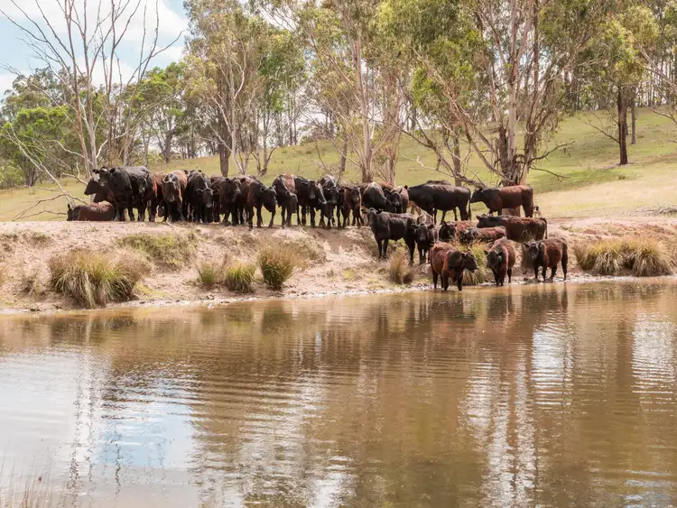 Seventh view of Homely rural property listing, 511 Long Swamp Road, Armidale NSW 2350