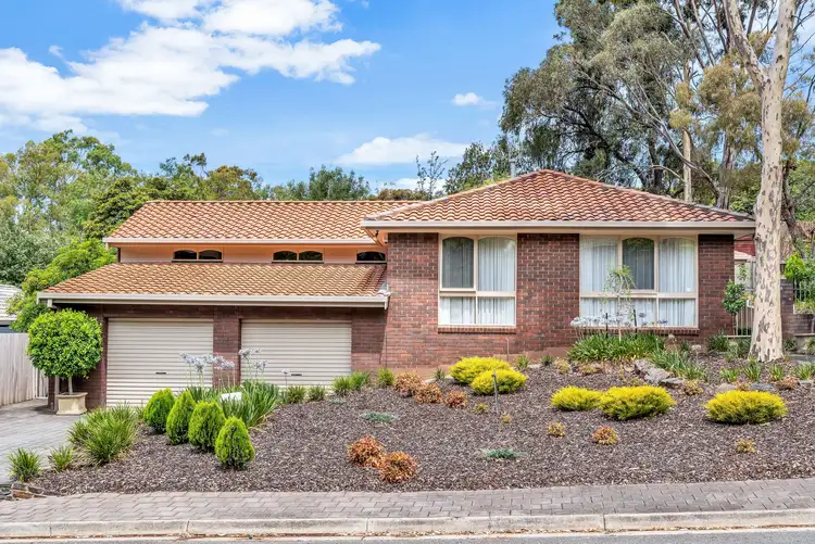 24 Catharina Street, Flagstaff Hill SA 5159