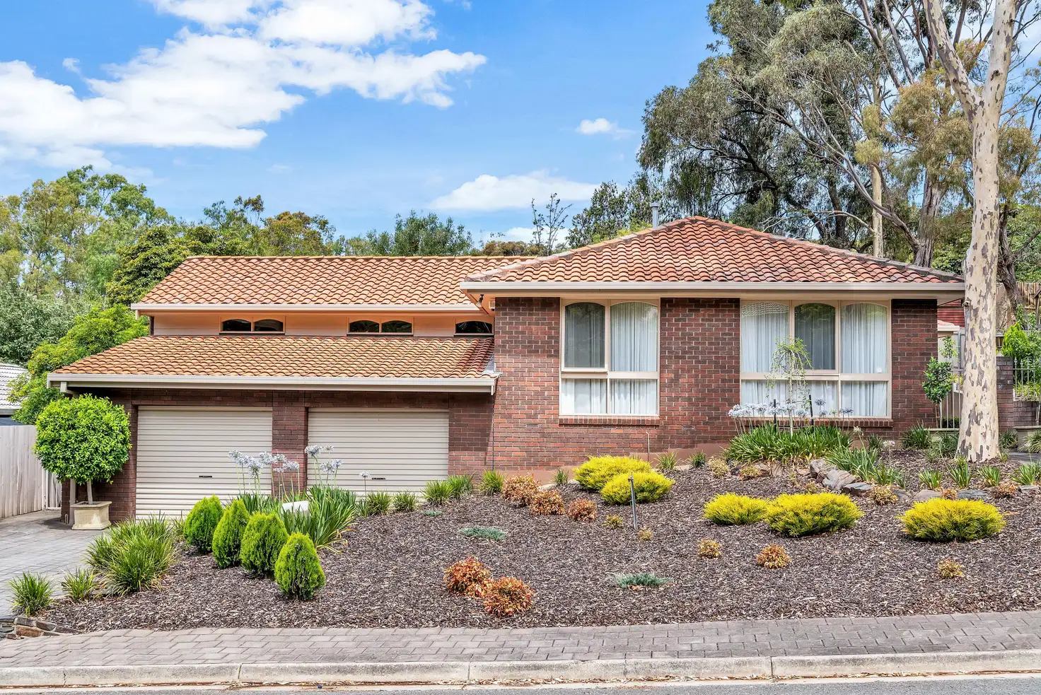 Main view of Homely house listing, 24 Catharina Street, Flagstaff Hill SA 5159