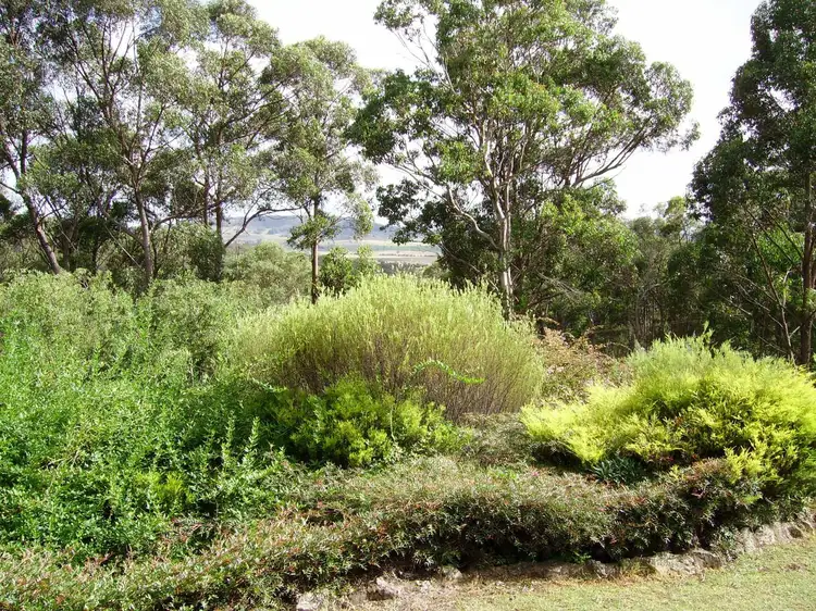 Fifth view of Homely house listing, 175 Blue Hills Road, Glen Innes NSW 2370