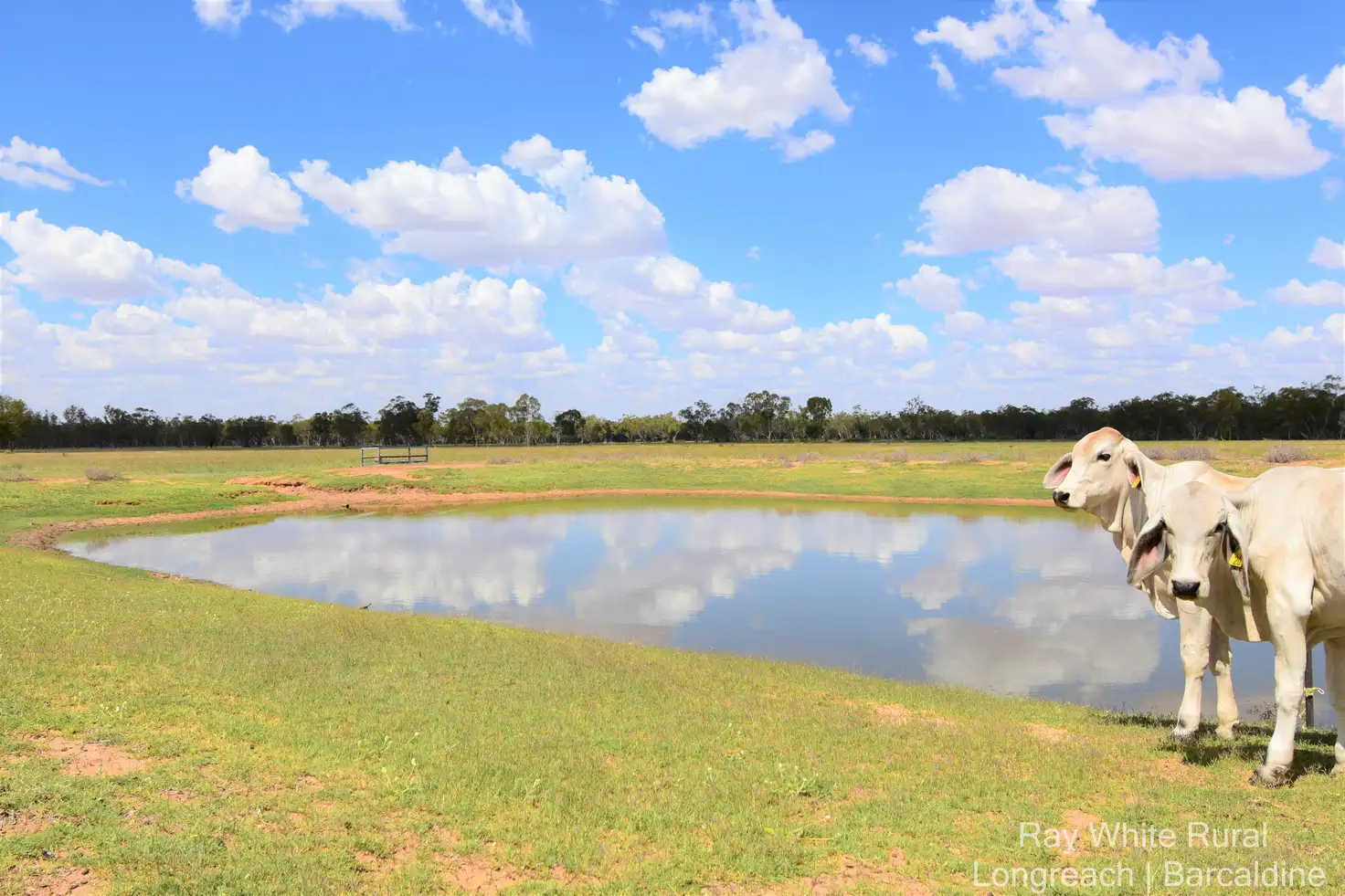 Main view of Homely rural property listing, 56880 Capricorn Highway, Barcaldine QLD 4725