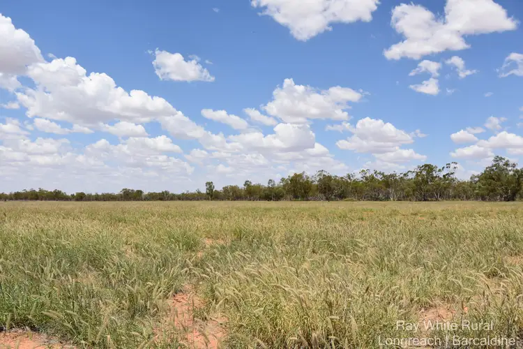 Seventh view of Homely rural property listing, 56880 Capricorn Highway, Barcaldine QLD 4725