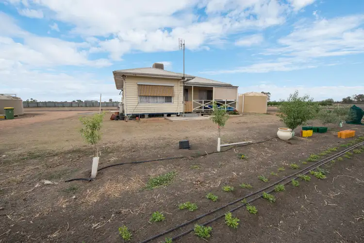 Main view of Homely house listing, 116 Eagles Lane, Koraleigh NSW 2735
