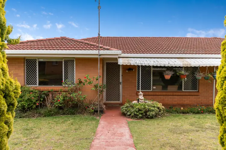 Main view of Homely house listing, 12 Router Street, Wilsonton QLD 4350