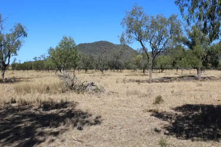 Main view of Homely rural property listing, '' Springdale", Gravesend NSW 2401