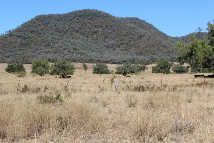 Third view of Homely rural property listing, '' Springdale", Gravesend NSW 2401