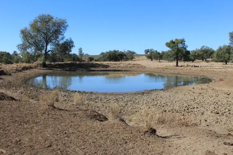 Fourth view of Homely rural property listing, '' Springdale", Gravesend NSW 2401