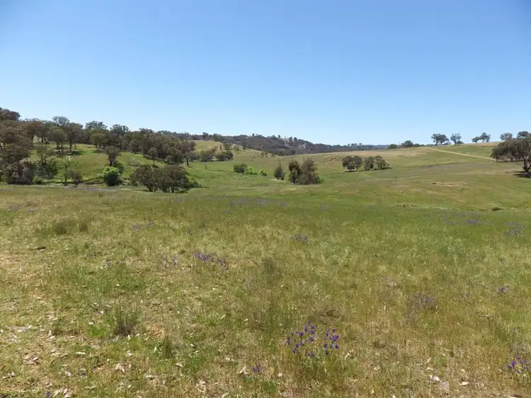 Sixth view of Homely rural property listing, 75 Bullfrog Road, Woodstock NSW 2793