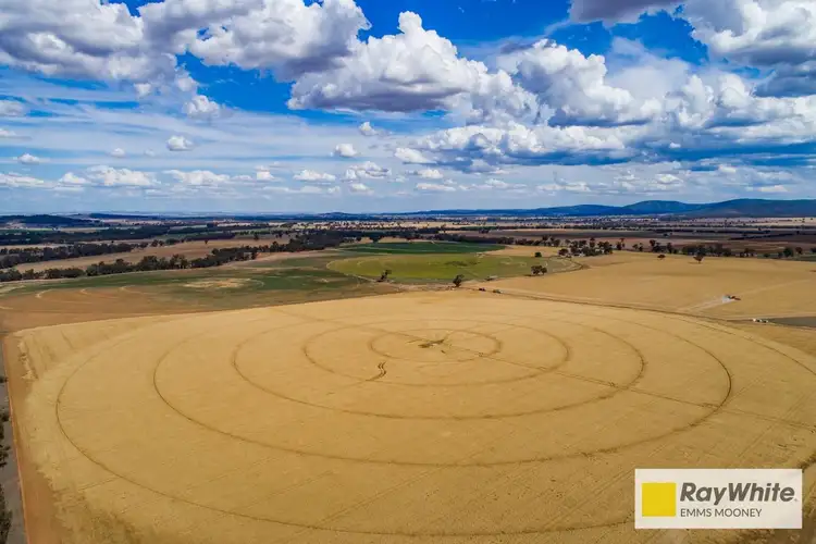 Second view of Homely rural property listing, 130 McInnis Lane, Gooloogong NSW 2805