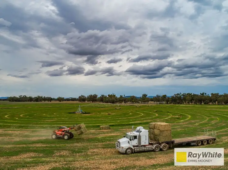 Sixth view of Homely rural property listing, 130 McInnis Lane, Gooloogong NSW 2805