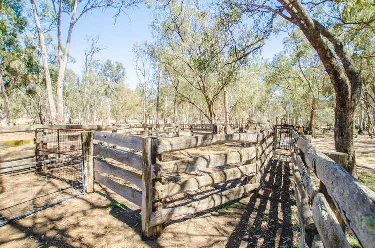 Fourth view of Homely rural property listing, 00 McKee Road, Echuca Village VIC 3564