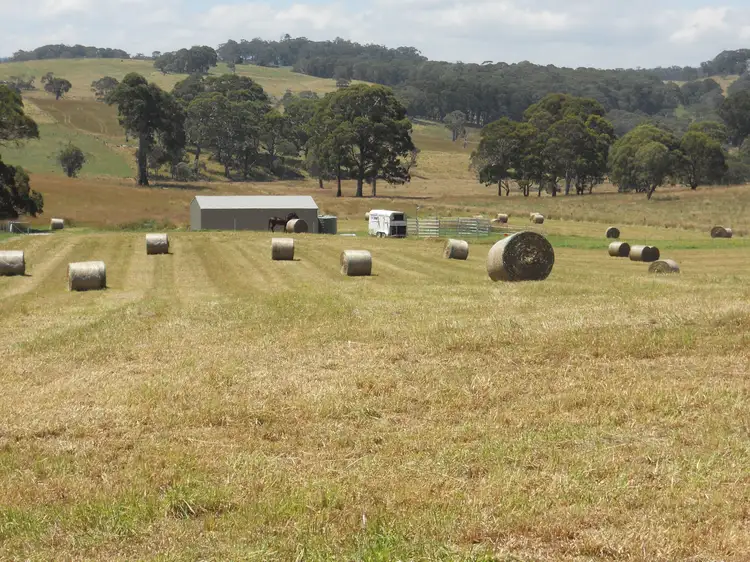 Main view of Homely rural property listing, 207 Sheepstation Forest Road, Oberon NSW 2787