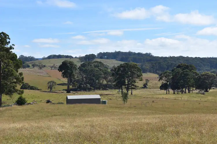 Sixth view of Homely rural property listing, 207 Sheepstation Forest Road, Oberon NSW 2787