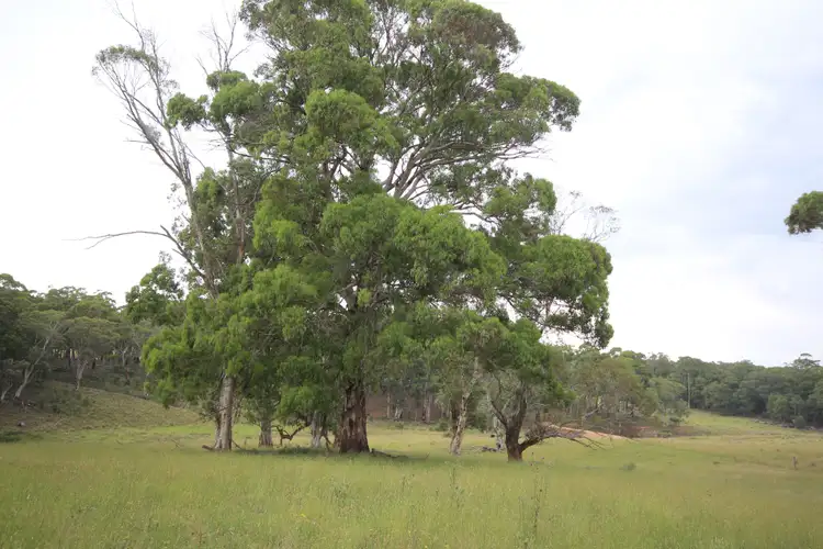 Seventh view of Homely rural property listing, 207 Sheepstation Forest Road, Oberon NSW 2787