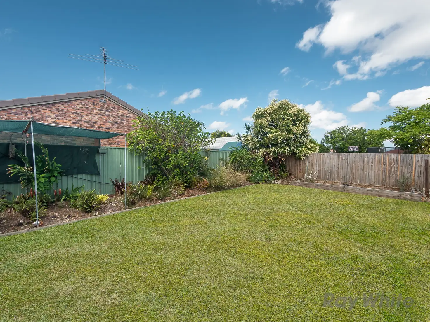 Main view of Homely house listing, 444 Telegraph Road, Bracken Ridge QLD 4017