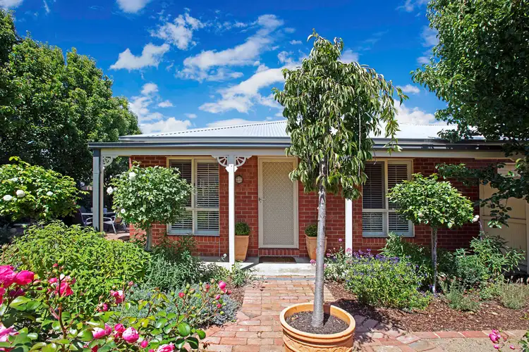 19 Bailey Street, Belmont VIC 3216