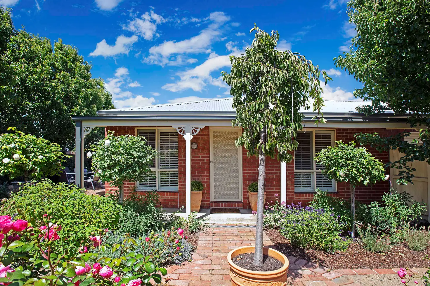 Main view of Homely house listing, 19 Bailey Street, Belmont VIC 3216