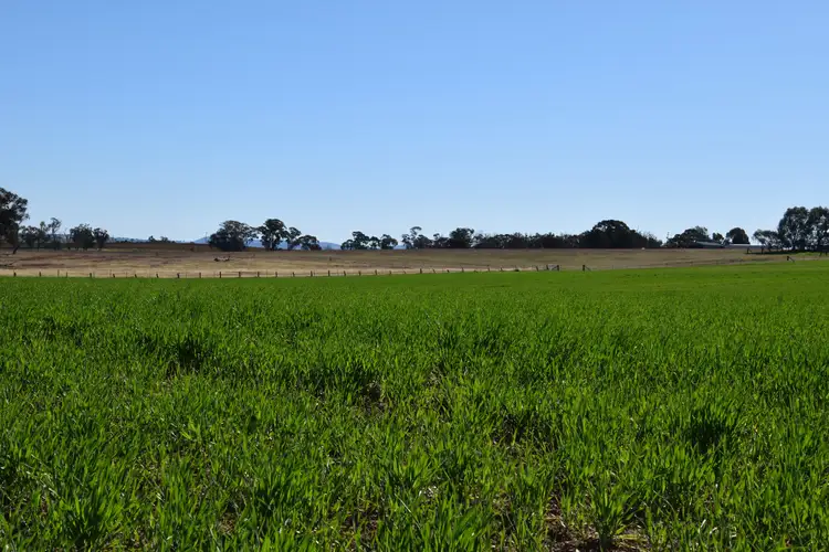 Fourth view of Homely rural property listing, 'Old Beri' Euchareena, Molong NSW 2866