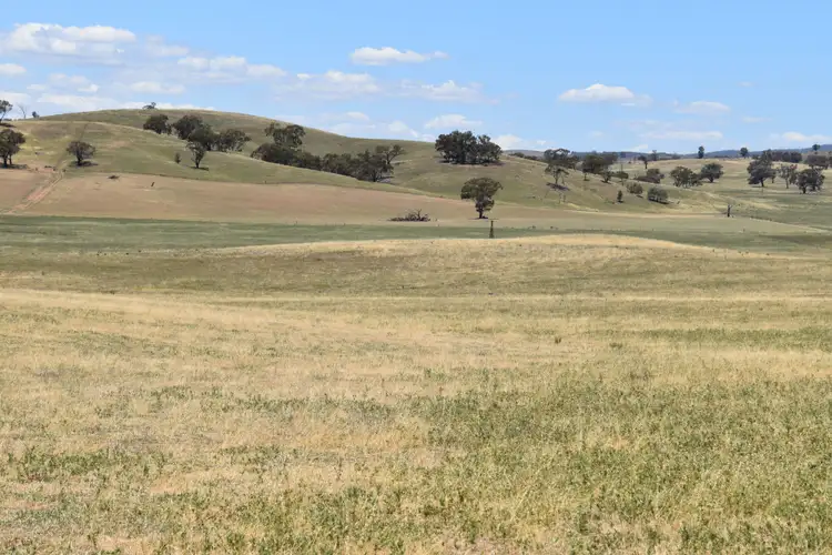 Sixth view of Homely rural property listing, 'Old Beri' Euchareena, Molong NSW 2866