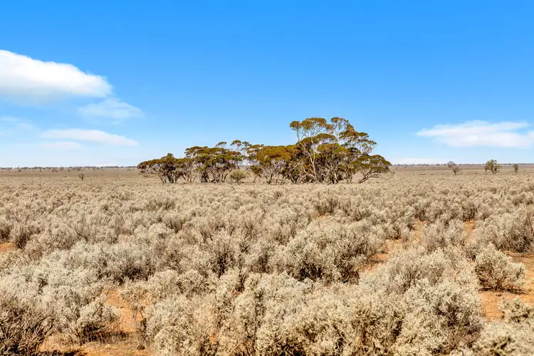 "Coonibar" Goyder Highway, Burra SA 5417