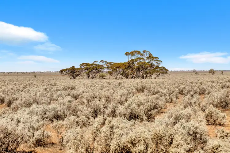 Second view of Homely rural property listing, "Coonibar" Goyder Highway, Burra SA 5417