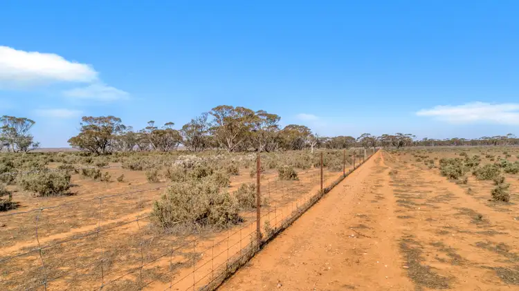Fourth view of Homely rural property listing, "Coonibar" Goyder Highway, Burra SA 5417