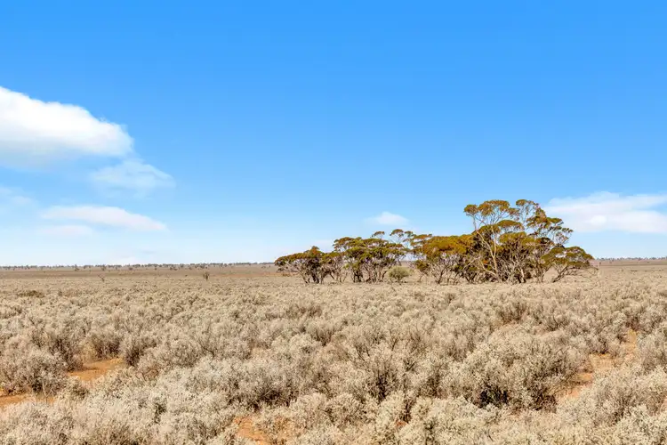 Seventh view of Homely rural property listing, "Coonibar" Goyder Highway, Burra SA 5417