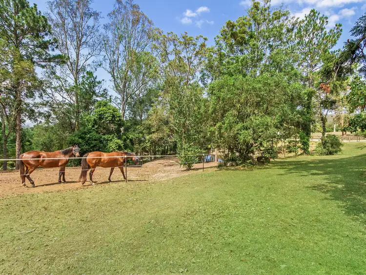 Fifth view of Homely house listing, 579 Maudsland Road, Maudsland QLD 4210