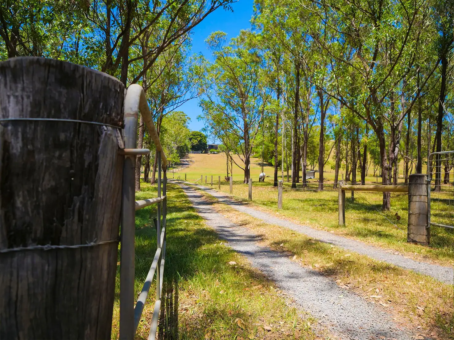 Main view of Homely house listing, 43 Mathieson Lane, Tucki Tucki NSW 2480