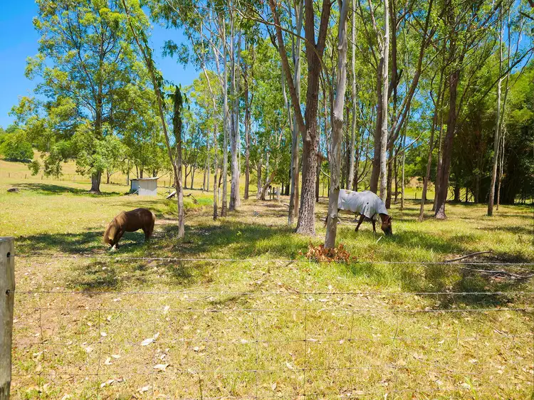Fifth view of Homely house listing, 43 Mathieson Lane, Tucki Tucki NSW 2480