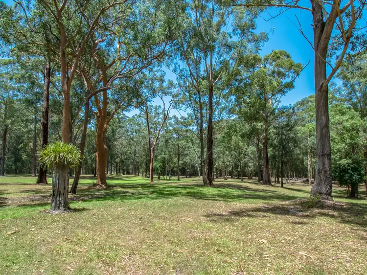 Second view of Homely rural property listing, 355 Mount Nellinda Road, Cooranbong NSW 2265