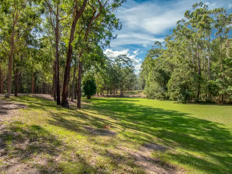 Third view of Homely rural property listing, 355 Mount Nellinda Road, Cooranbong NSW 2265