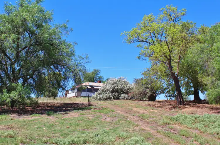 Seventh view of Homely land listing, 130 Allandale Road, Young NSW 2594