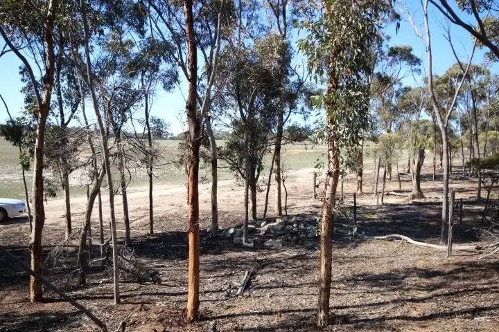 Third view of Homely land listing, Lot 13 Kulin-Dudinin Road, Dudinin WA 6363
