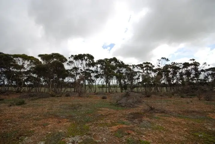 Fifth view of Homely land listing, Lot 13 Kulin-Dudinin Road, Dudinin WA 6363