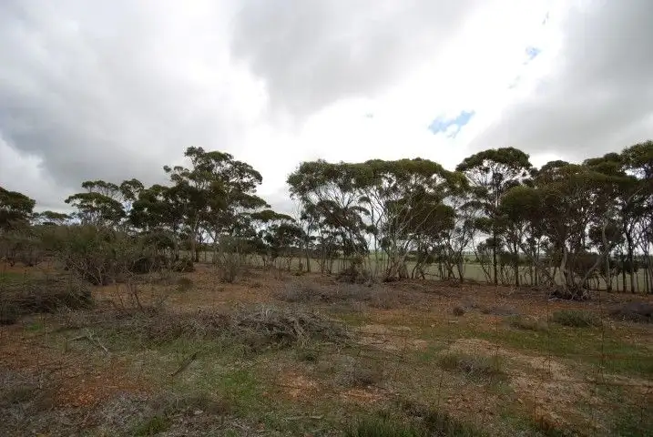 Sixth view of Homely land listing, Lot 13 Kulin-Dudinin Road, Dudinin WA 6363
