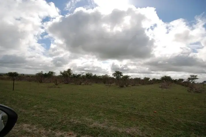 Seventh view of Homely land listing, Lot 13 Kulin-Dudinin Road, Dudinin WA 6363