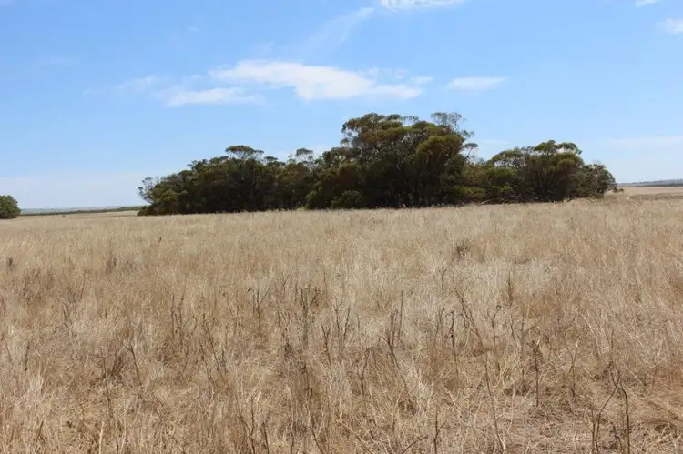 Main view of Homely rural property listing, Lot M344 Mt Horner Road, Yardarino WA 6525