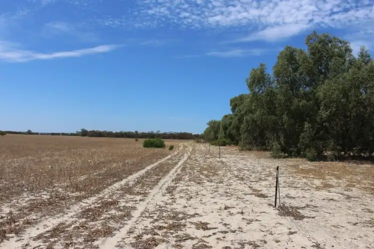 Second view of Homely rural property listing, Lot M344 Mt Horner Road, Yardarino WA 6525