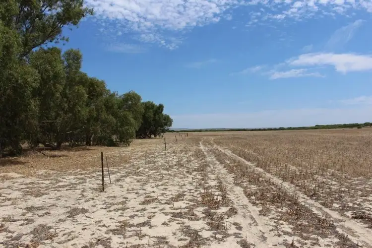 Third view of Homely rural property listing, Lot M344 Mt Horner Road, Yardarino WA 6525