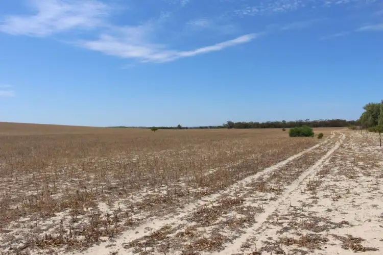 Fourth view of Homely rural property listing, Lot M344 Mt Horner Road, Yardarino WA 6525