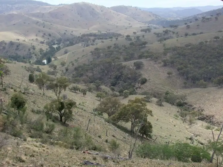 Sixth view of Homely rural property listing, 212 Quartz Ride Road, Turondale NSW 2795